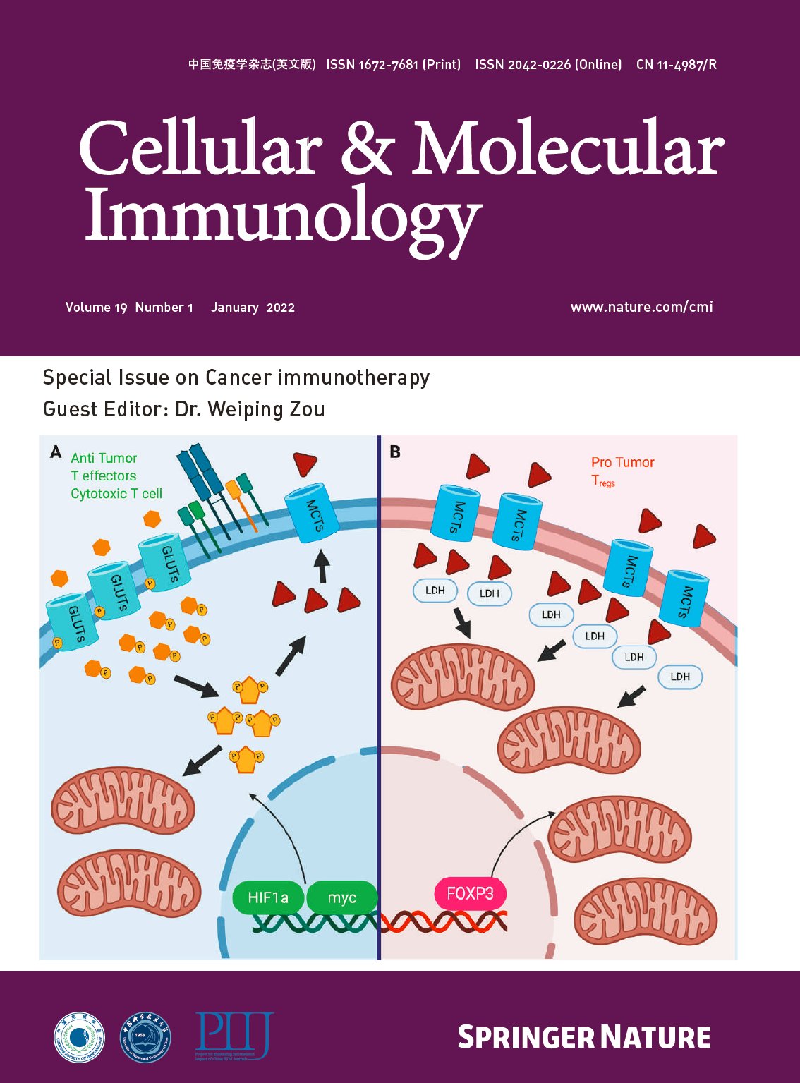Cellular & Molecul