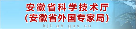 中国科大揭示固体电解质界相中的激发态