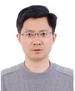 Professor
