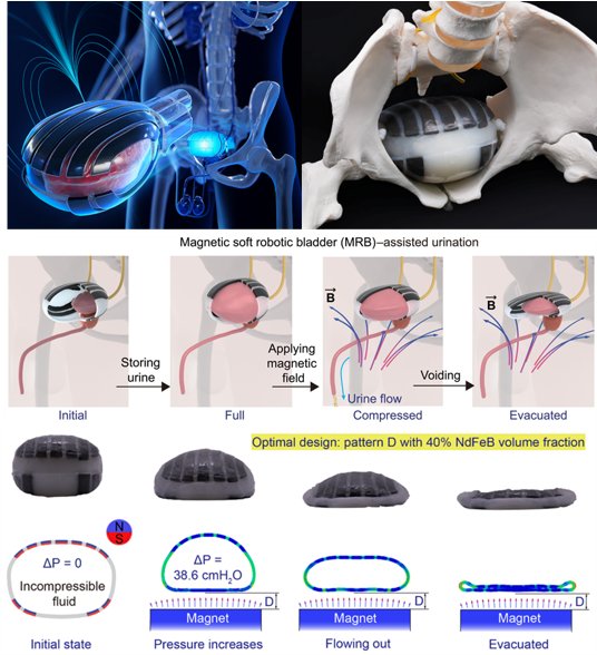 MRB.png 1. 面向心血管疾病介入治疗的磁控导